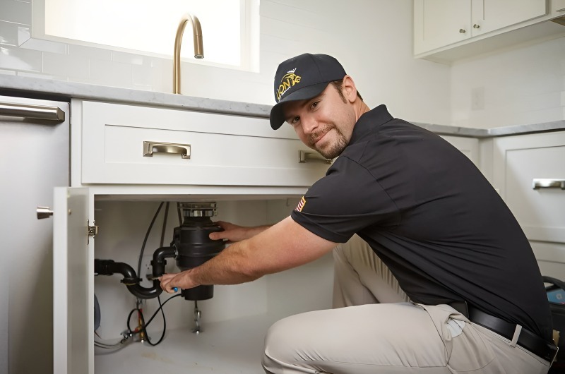 Garbage Disposal repair in Elk Grove Village